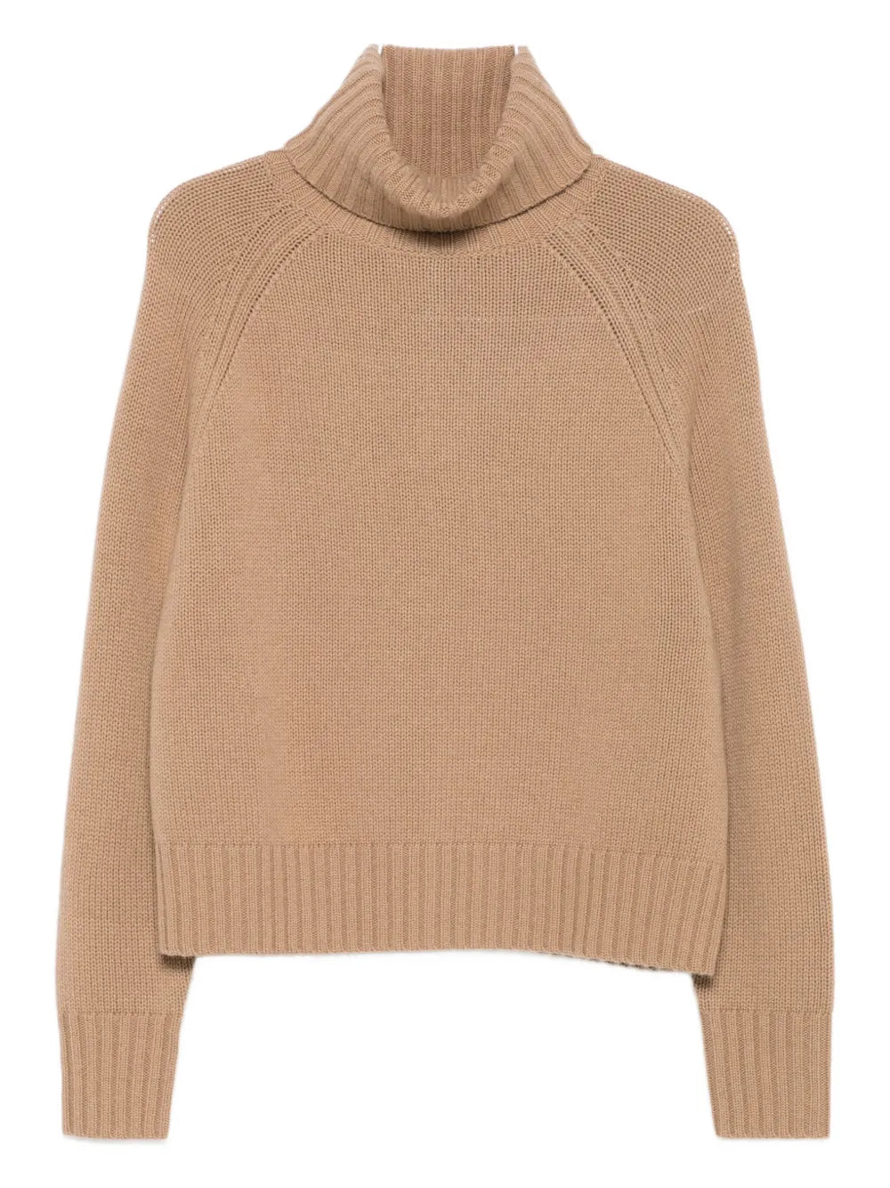 Turtleneck Sweater