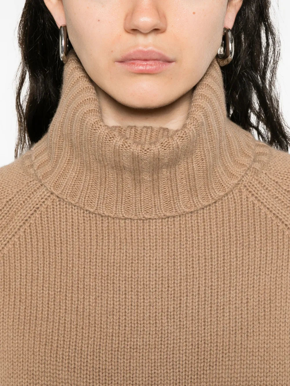Turtleneck Sweater